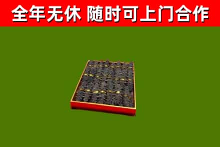 马关烟酒回收海参.jpg